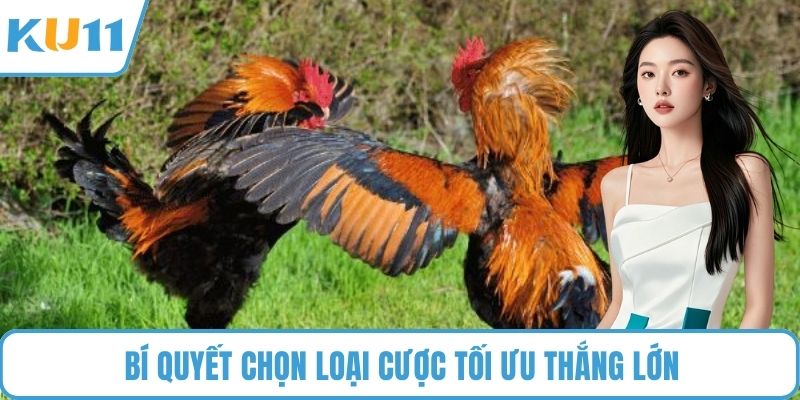 Bí quyết chọn loại cược tối ưu thắng lớn