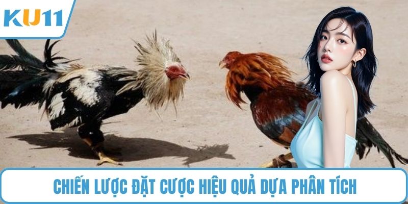 Chiến lược đặt cược hiệu quả dựa phân tích