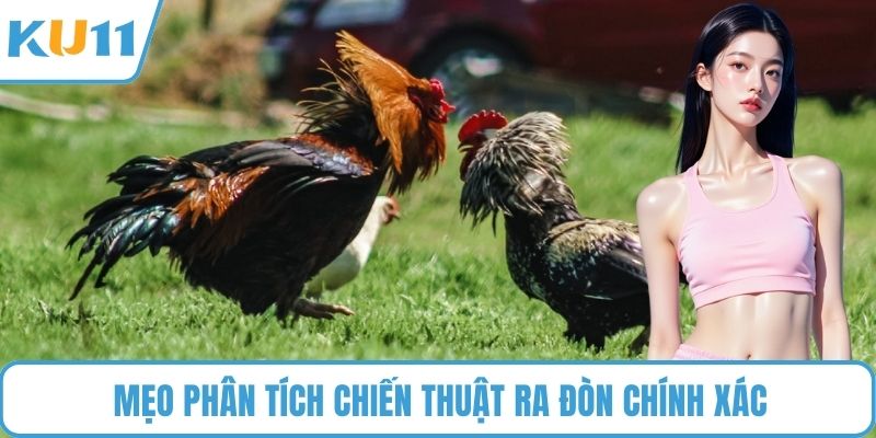 Mẹo phân tích chiến thuật ra đòn chính xác